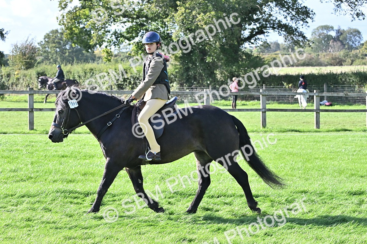 SBM_50252 - S21 - Novice & Newcomers First Ridden