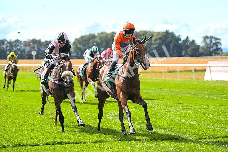 290825-Race 3-Be The Standard-8609 - Race 3