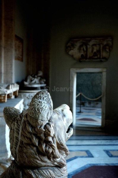 Watching - Vatican Museum