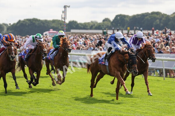 yr18082021r3-64 - Race 3 3.00pm Sky Bet Great Voltigeur Stakes