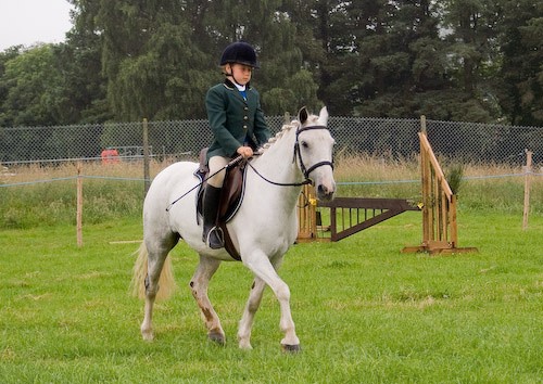 14 - Moniaive Horse Show 2008
