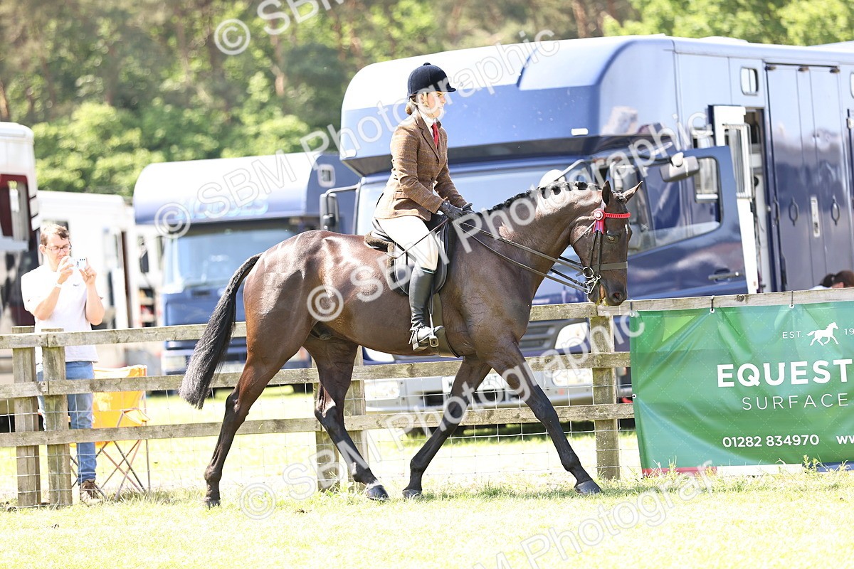 SBM_14819 - Class 78 - LIHS BSHA Open Racehorse & Show Horse