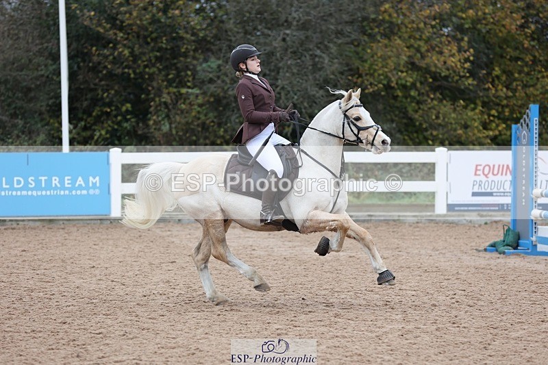 241116X-101333-00786 - Cls 08 Pony Winter Nov Champs
