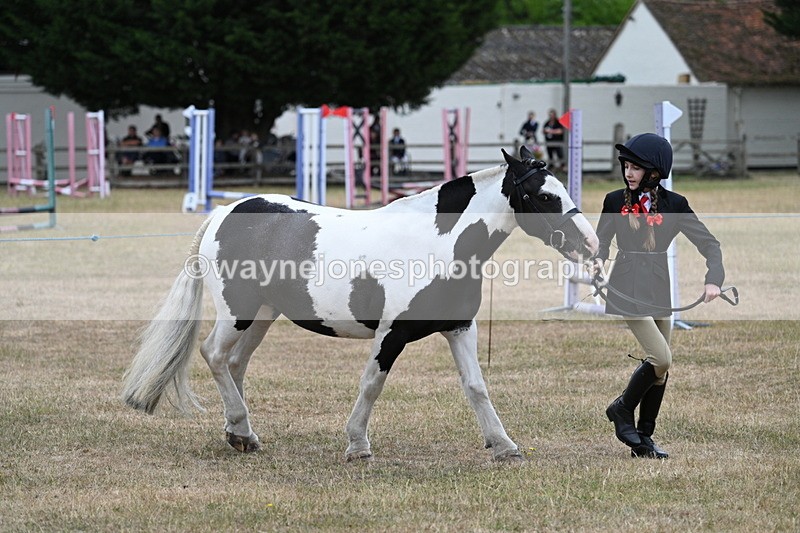 WJ7_8277 - Class 4 Prettiest Mare up to 14.2hh