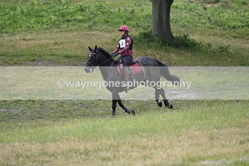 WJ7_8966 - Time 10:45 to 11:03