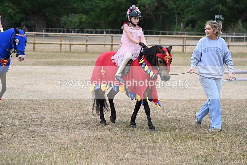 WJ6_8661 - Class 11 Fancy Dress