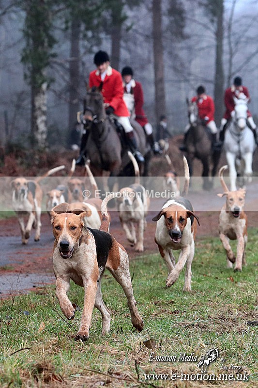 HUPY 261224 339b - Pytchley with Woodland Hunt Boxing Day Meet 26th December 2024