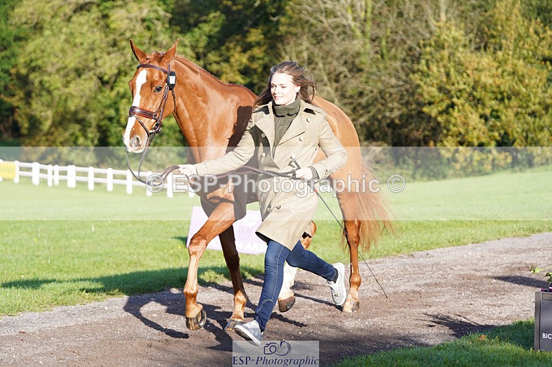 241026-101834-11766 - 010-Julia.Norman-SCOTCH.ON.THE.ROCK'Z