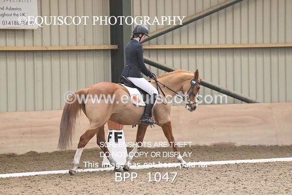 BPP_1047 - 13 / 14 - H BROADHURST