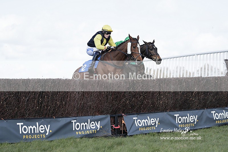 PtP 100423 767 - Old Berkshire Point-to-Point Lockinge 10/04/23