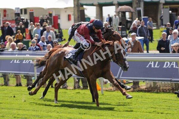 yr12052022r2-33 - Race 2 2.25pm Al Basti Equiworld Dubai Middleton Fillies' Stakes