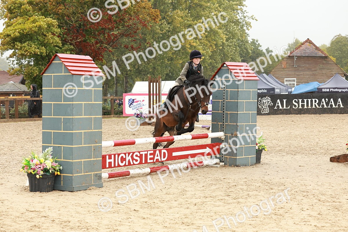 SBM_73293 - Supreme Championship Junior Pony 60cm & 65cm