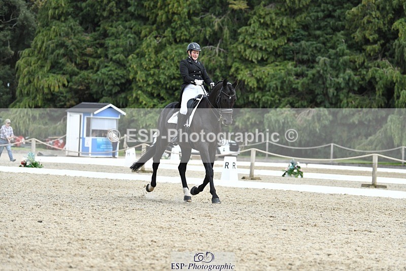 230812-135912-04563 - Cls 7 FEI PSG Bronze