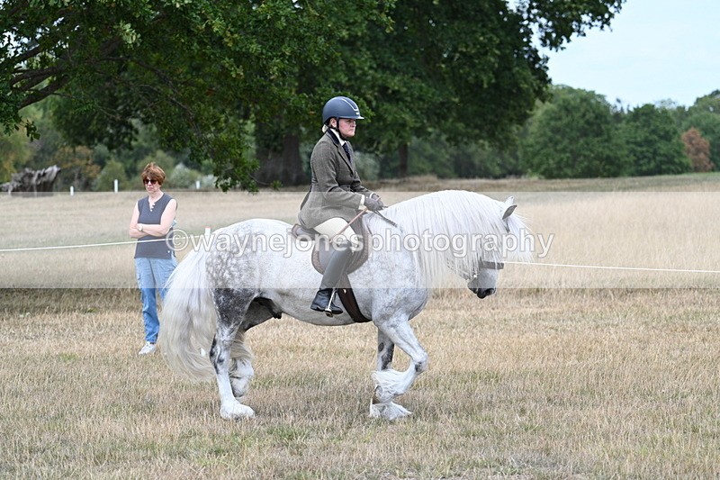 WJ7_4755 - Class 12 Ridden Cob