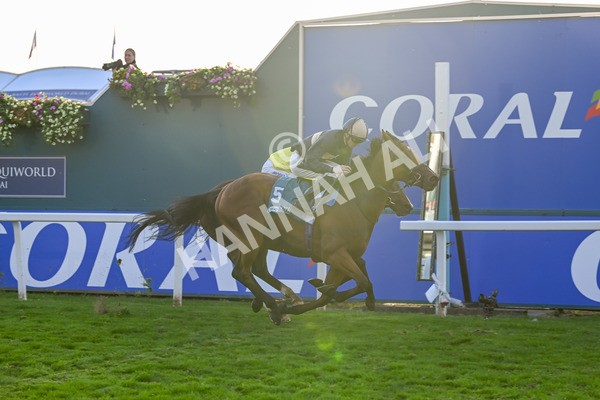 111025-Race 7-Lets Dream-9123 - Race 7 Coral 'Committed To Safer Gambling' Finale Handicap at York