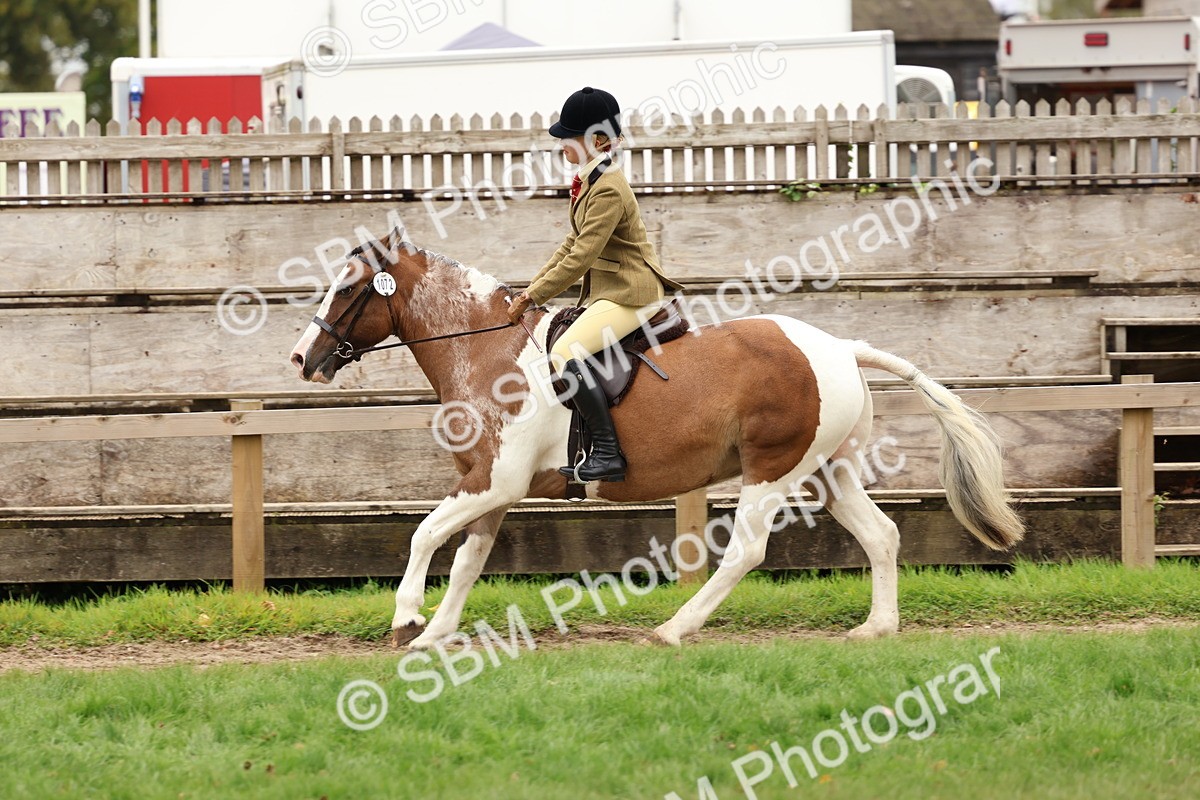 SBM_64558 - S58 - Coloured Pony Ridden