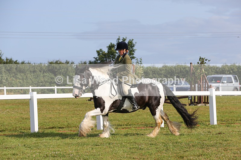 1X9A3285 - Class 28: Ridden Native/Trad Coloured Pony