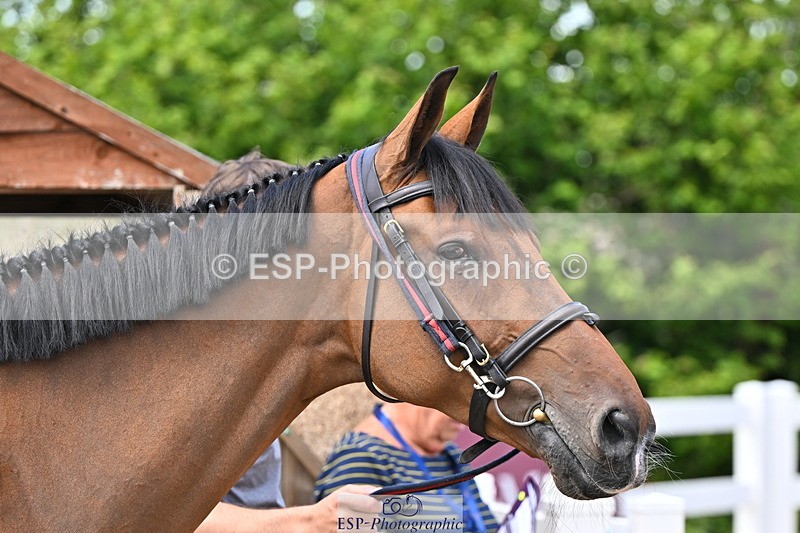 240718A-105255-01337 - Trot Up 12pm to 1pm