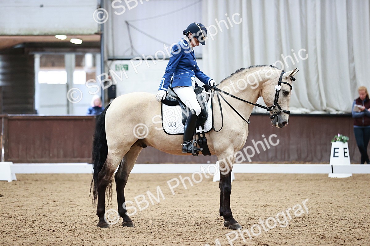 SBM_000927 - Class 2-5-4-6 - Paso Doble-Golega-Novato-Sevilla - FSM