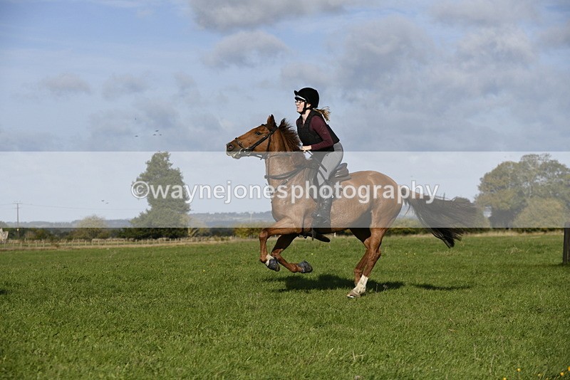 _DSC5282 - Time 10:49 to 11:23