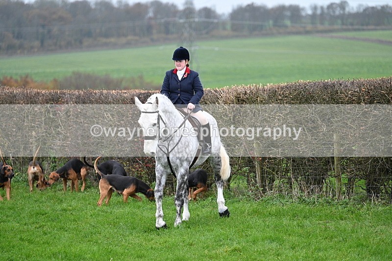 WJ7_8811 - Meet Staff & Hounds
