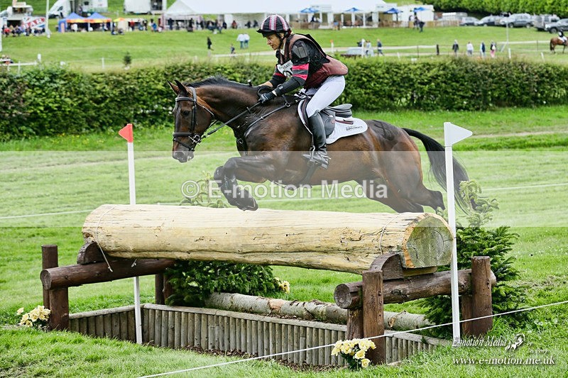 BE11721 0735a - Equestrian