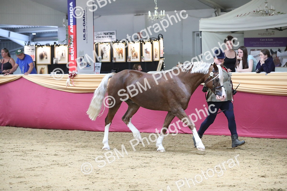 SBM_06498 - Class 9R Regional- IH Pre Vet
