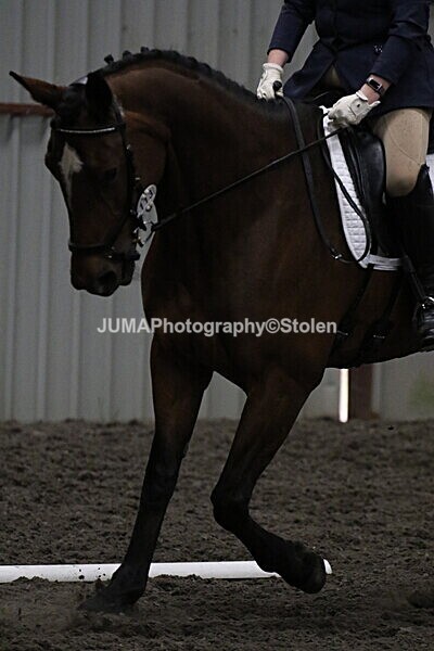 SIAL4401 - CAbin Dressage 5th july 2025