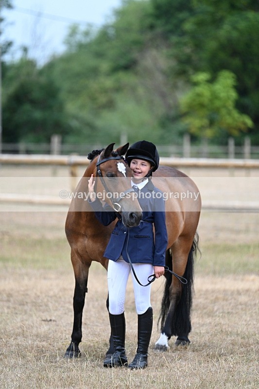 WJ7_9688 - Class 5 Most Handsome Gelding (up to 14.2hh)