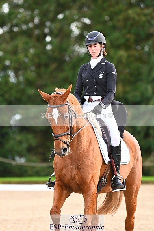 231021-162133-21104 - 265-EG.TIGER.CHILLI-Tayla.Mason-DR