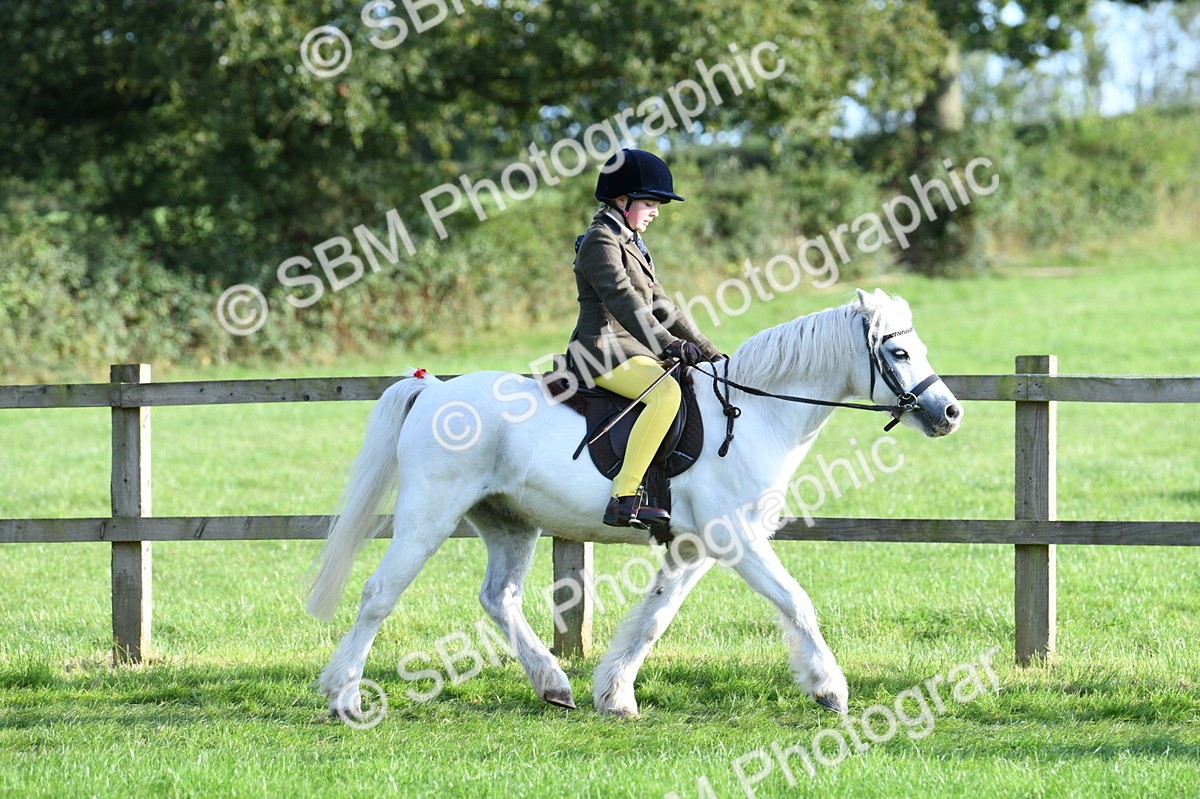SBM_54016 - S23 - 1st Ridden Mountain & Moorland Pony