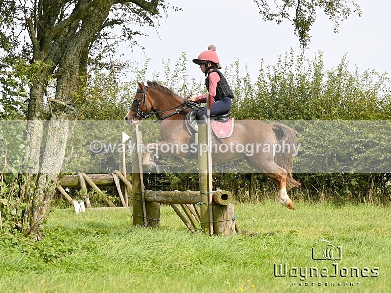 WJ6_8443 - Edited Examples