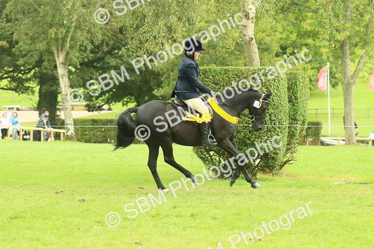 SBM_75012 - Ridden Pony Supreme Championship