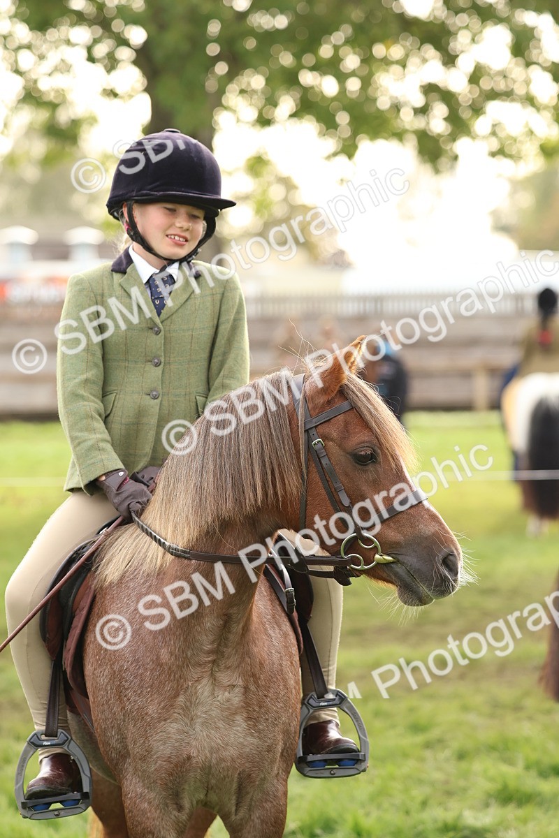 SBM_56650 - S40 - Starters Ridden Showing