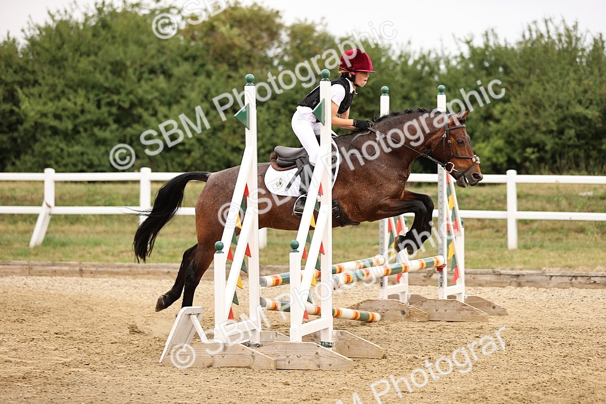 SBM_002106 - Class 3 - 60cm