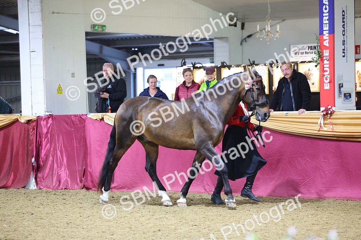 SBM_19089 - Class H Foreign Breeds Champ