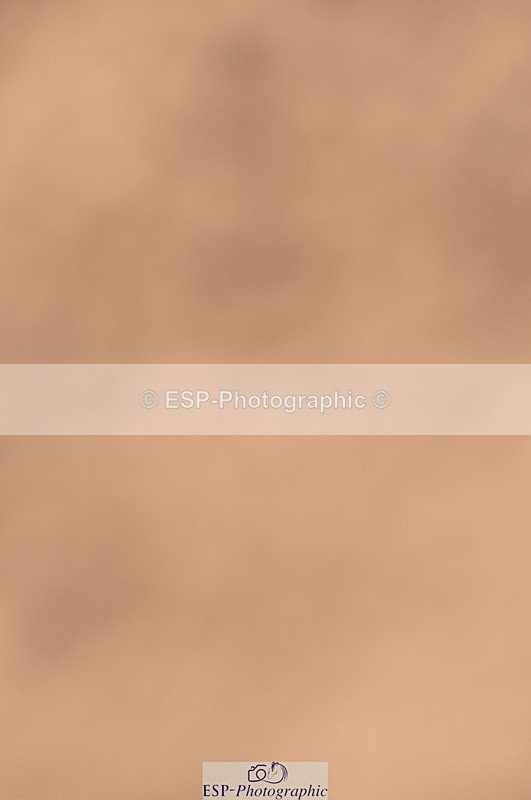 230810A-111304-00820 - Cls 9 Foxhunter