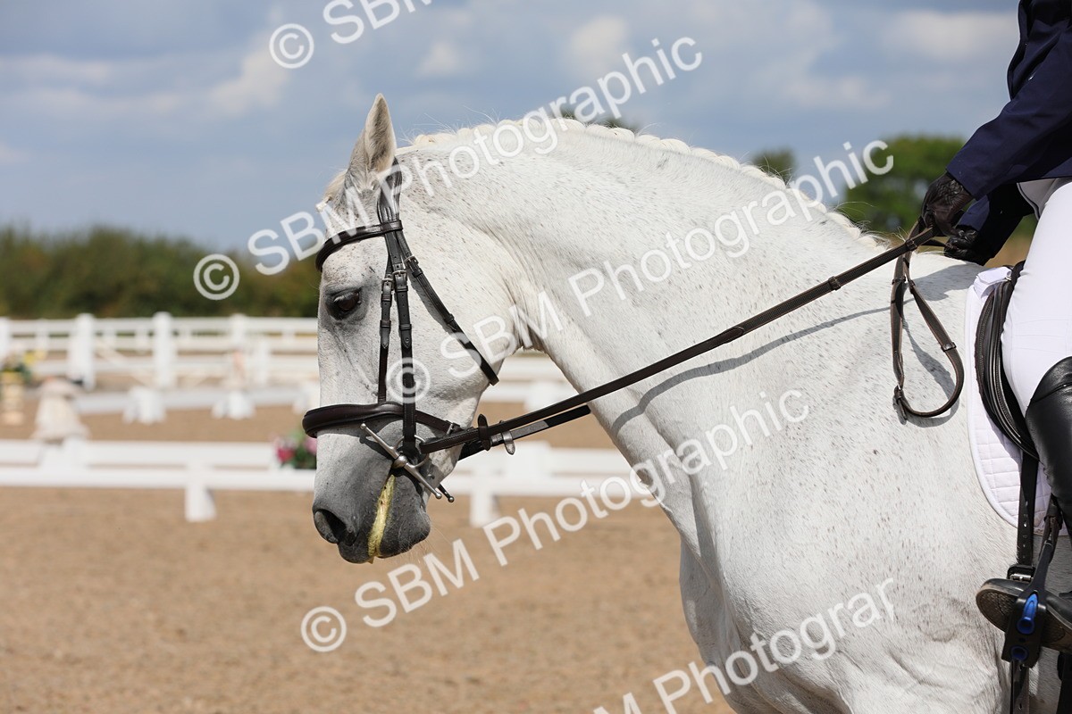 SBM_04102 - Class 31 Prelim 1