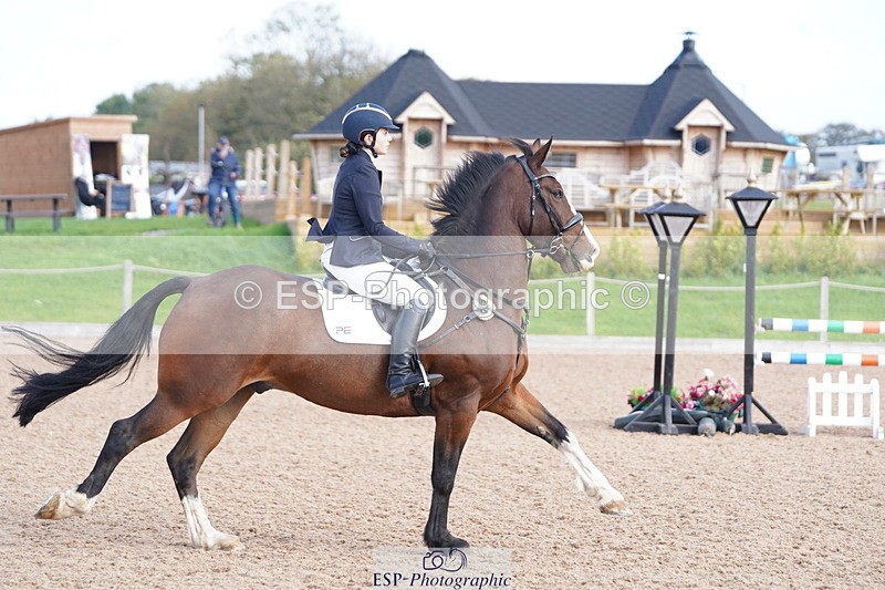 241005A-101626-04431 - SAT Cls 8 Snr British Novice & 90cm Open