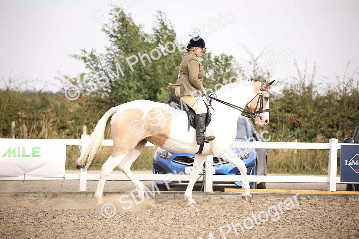 SBM_12931 - Class 406a - Working Veteran 50cm (15-19)