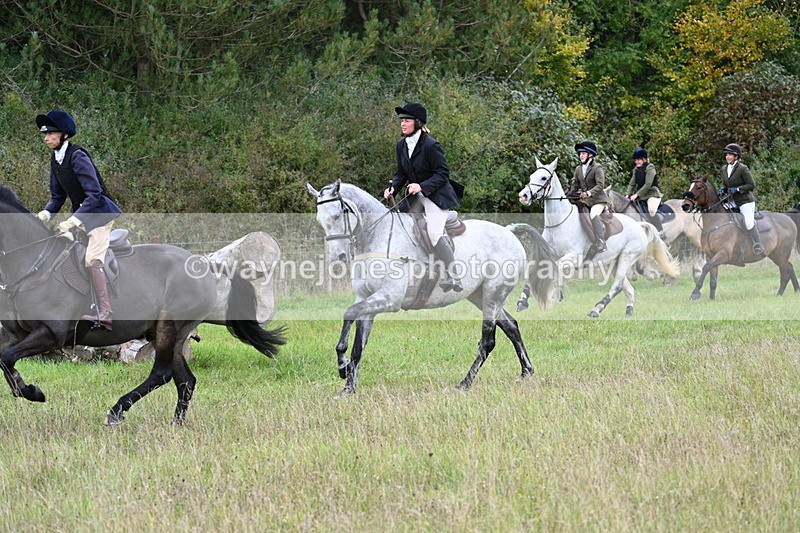 WJ7_3813 - Camera 1 Line 1