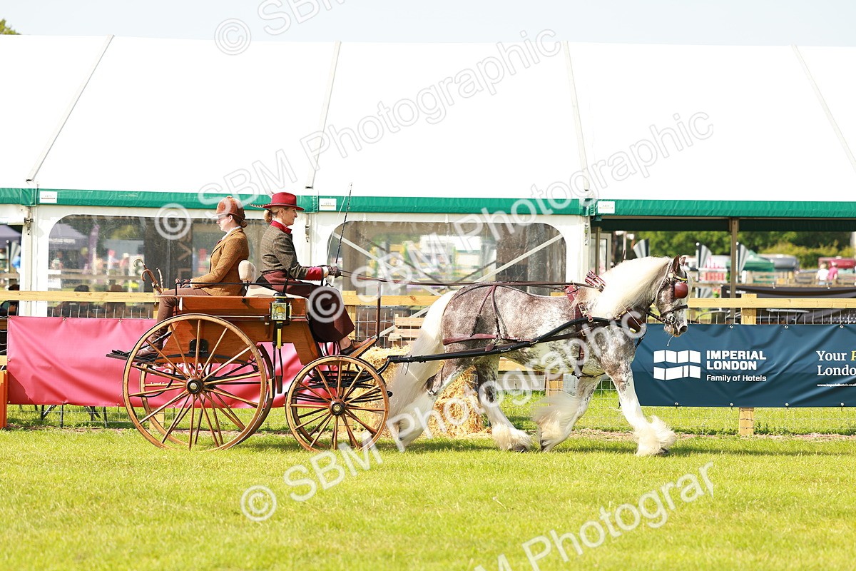 SBM_02564 - Class 2-4 - HOYS Private Driving