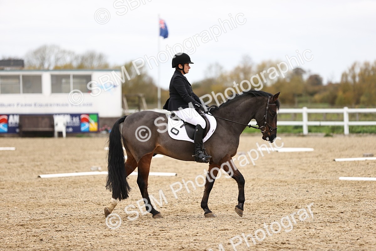 SBM_003517 - Class 11 - Elementary 1