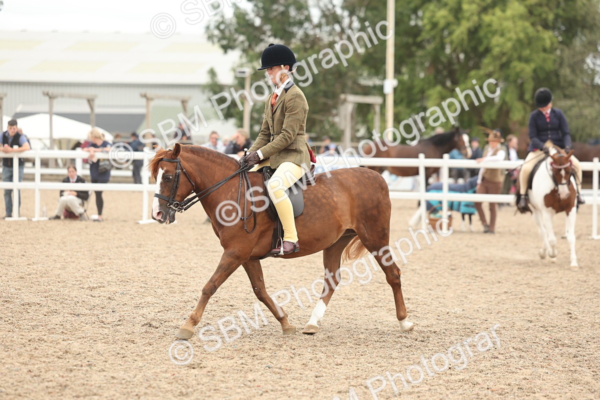 SBM_19148 - Class 316 - Best Pony-Rider Combination