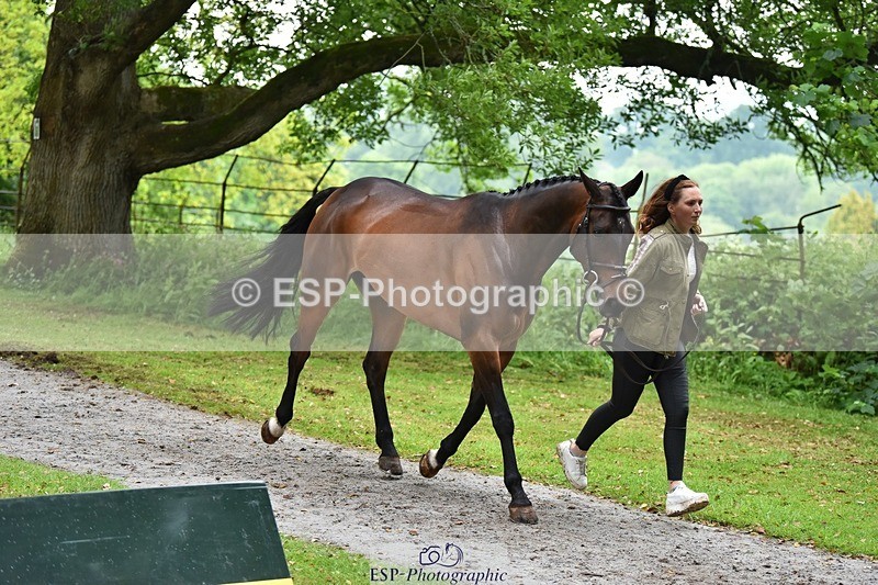 240522-170032-01320 - 271-WILD_ATLANTIC_WAY-Susie_Berry