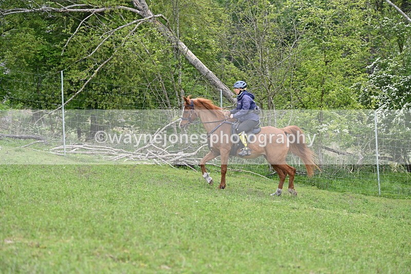 WJ6_3253 - A camera