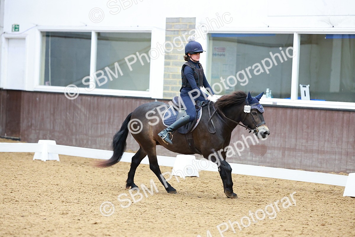 1I0A0724 - Class 3-6 - Prelim 1-Novice 2