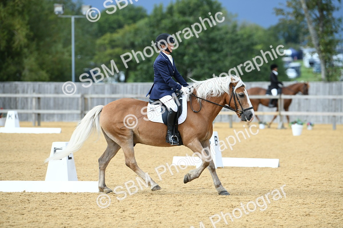 SBM_10908 - D28 Elementary Taster Elementary 42