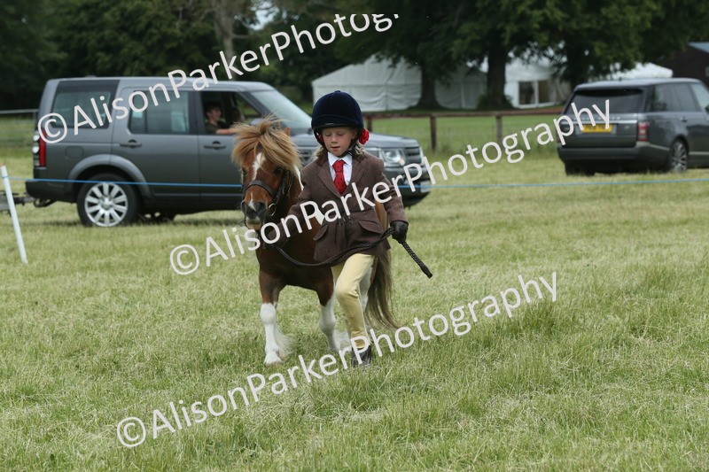 20260614-4294 - Class 18 - Best Junior Handler