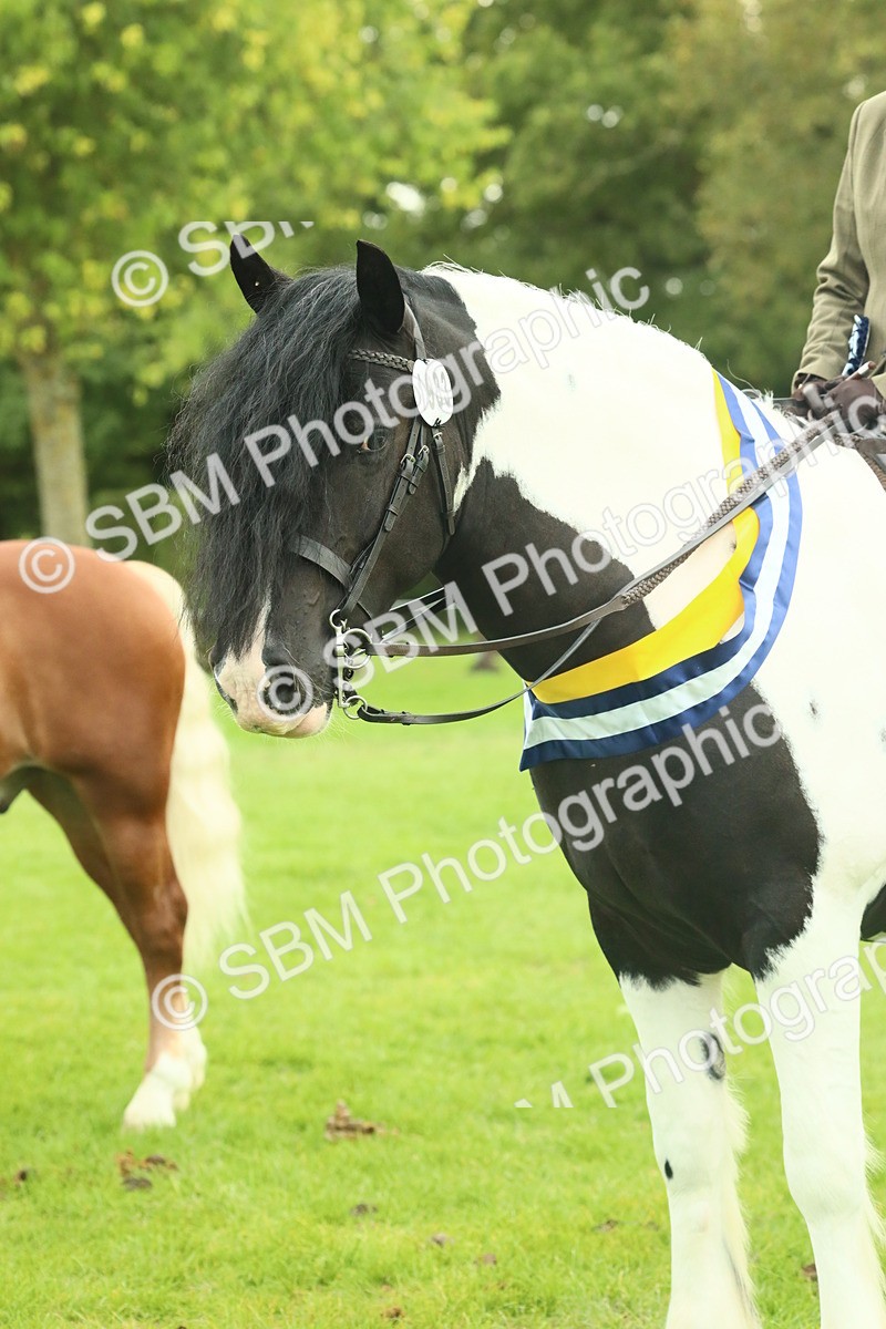 SBM_75223 - Super Supreme Championship